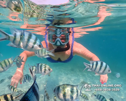 Underwater Odyssey snorkeling excursion Pattaya Thailand photo 11546