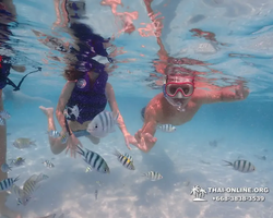 Underwater Odyssey snorkeling excursion in Pattaya Thailand photo 950