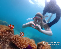 Underwater Odyssey snorkeling excursion in Pattaya Thailand photo 727