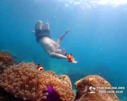 Underwater Odyssey snorkeling excursion in Pattaya Thailand photo 947