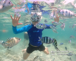 Underwater Odyssey snorkeling excursion Pattaya Thailand photo 14814