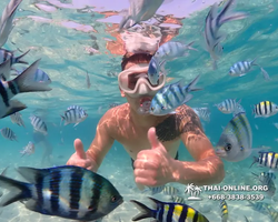Underwater Odyssey snorkeling excursion Pattaya Thailand photo 11284