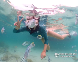 Underwater Odyssey snorkeling excursion in Pattaya Thailand photo 231