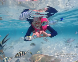 Underwater Odyssey snorkeling excursion in Pattaya Thailand photo 860