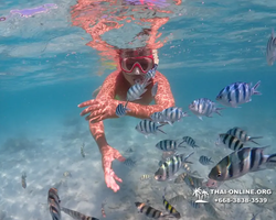 Underwater Odyssey snorkeling excursion in Pattaya Thailand photo 472