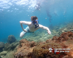 Underwater Odyssey snorkeling excursion Pattaya Thailand photo 11330