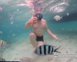 Underwater Odyssey snorkeling excursion in Pattaya Thailand photo 241