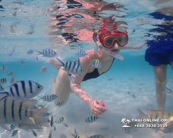 Underwater Odyssey snorkeling excursion in Pattaya Thailand photo 833