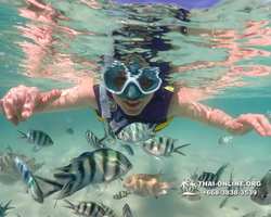 Underwater Odyssey snorkeling excursion Pattaya Thailand photo 19108