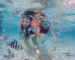 Underwater Odyssey snorkeling excursion in Pattaya Thailand photo 886