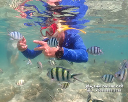 Underwater Odyssey snorkeling excursion Pattaya Thailand photo 14767