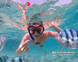 Underwater Odyssey snorkeling excursion Pattaya Thailand photo 11012
