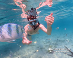 Underwater Odyssey snorkeling excursion Pattaya Thailand photo 11048