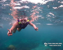 Underwater Odyssey snorkeling excursion in Pattaya Thailand photo 3