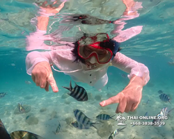 Underwater Odyssey snorkeling excursion Pattaya Thailand photo 14216