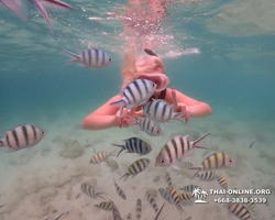 Underwater Odyssey snorkeling excursion in Pattaya Thailand photo 271