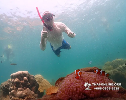 Underwater Odyssey snorkeling tour from Pattaya Thailand photo 18390