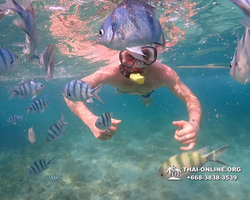 Underwater Odyssey snorkeling excursion Pattaya Thailand photo 11562