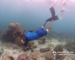 Underwater Odyssey snorkeling excursion in Pattaya Thailand photo 303