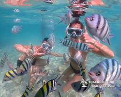Underwater Odyssey snorkeling tour from Pattaya Thailand photo 14186