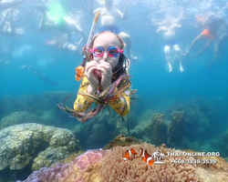 Underwater Odyssey snorkeling excursion Pattaya Thailand photo 11564