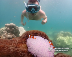 Underwater Odyssey snorkeling excursion Pattaya Thailand photo 19406