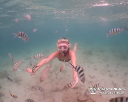 Underwater Odyssey snorkeling excursion in Pattaya Thailand photo 298