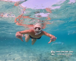 Underwater Odyssey snorkeling excursion Pattaya Thailand photo 10997