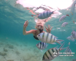 Underwater Odyssey snorkeling excursion in Pattaya Thailand photo 282