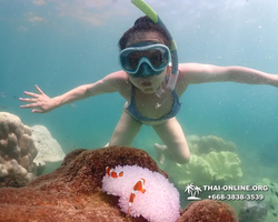 Underwater Odyssey snorkeling excursion Pattaya Thailand photo 19372