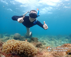 Underwater Odyssey snorkeling excursion Pattaya Thailand photo 11376