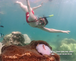 Underwater Odyssey snorkeling excursion Pattaya Thailand photo 19501