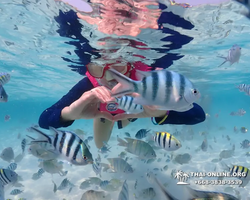 Underwater Odyssey snorkeling excursion in Pattaya Thailand photo 674