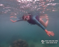 Underwater Odyssey snorkeling excursion in Pattaya Thailand photo 226