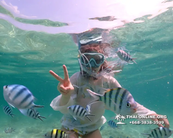 Underwater Odyssey snorkeling tour from Pattaya Thailand photo 18413