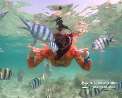 Underwater Odyssey snorkeling excursion Pattaya Thailand photo 14843