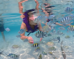 Underwater Odyssey snorkeling excursion in Pattaya Thailand photo 820