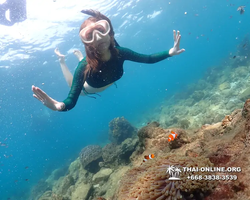 Underwater Odyssey snorkeling excursion Pattaya Thailand photo 11351