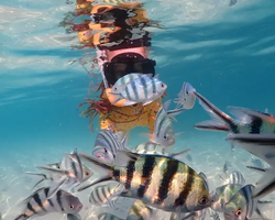 Underwater Odyssey snorkeling excursion Pattaya Thailand photo 11581