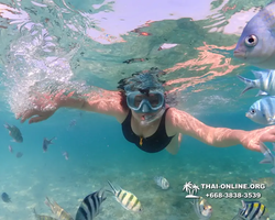 Underwater Odyssey snorkeling excursion Pattaya Thailand photo 11184