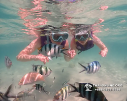 Underwater Odyssey snorkeling excursion Pattaya Thailand photo 19352