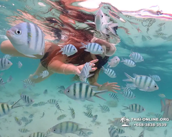 Underwater Odyssey snorkeling excursion in Pattaya Thailand photo 45