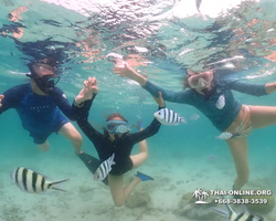 Underwater Odyssey snorkeling excursion in Pattaya Thailand photo 11