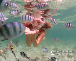 Underwater Odyssey snorkeling tour from Pattaya Thailand photo 18429