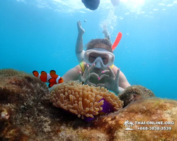 Underwater Odyssey snorkeling excursion in Pattaya Thailand photo 685