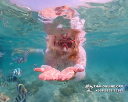 Underwater Odyssey snorkeling tour from Pattaya Thailand photo 14492
