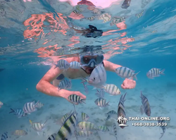 Underwater Odyssey snorkeling excursion Pattaya Thailand photo 11058