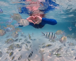 Underwater Odyssey snorkeling excursion in Pattaya Thailand photo 613