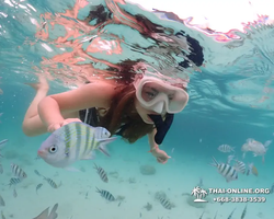 Underwater Odyssey snorkeling excursion in Pattaya Thailand photo 130