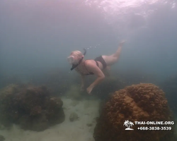 Underwater Odyssey snorkeling excursion in Pattaya Thailand photo 342